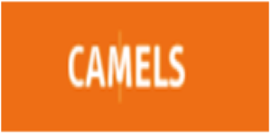 Camels